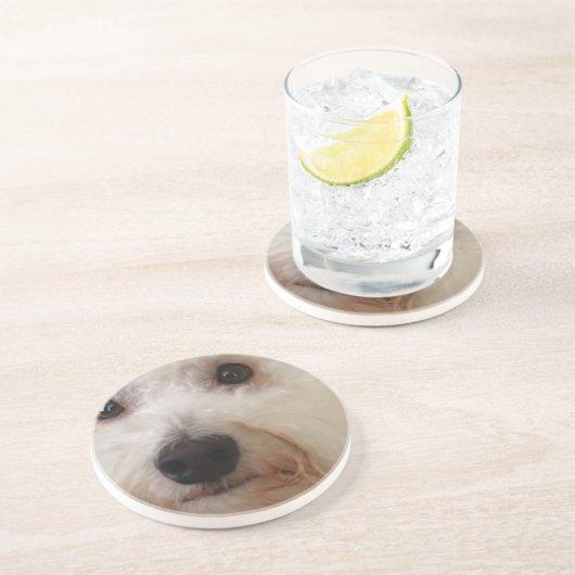 Gucci - a Bichon Frise - Onderzetter (Zijkant)