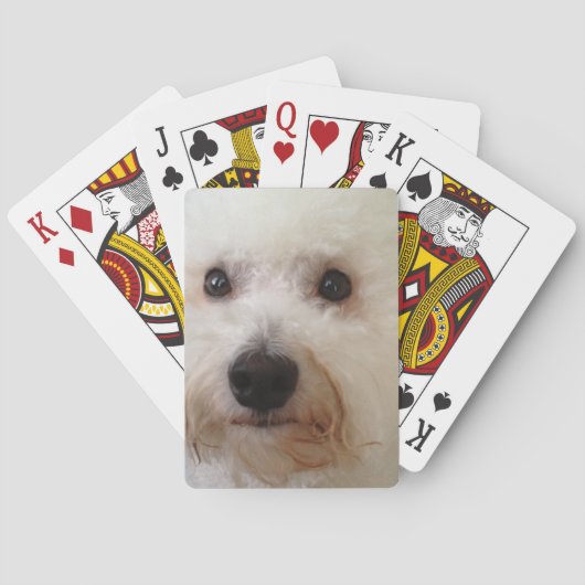 "Gucci" - Playing Cards Pokerkaarten (Achterkant)