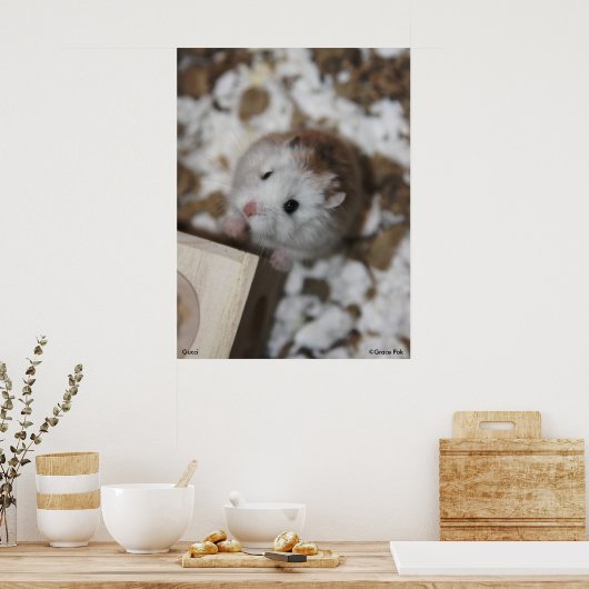 Gucci Poster (Keuken)