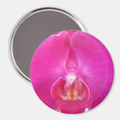 Guda Magneet (Voorkant / Achterkant)