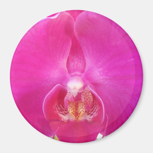 Guda Magneet (Voorkant)