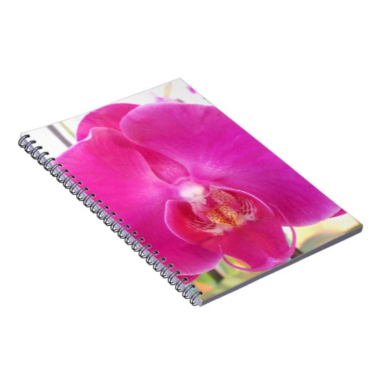 Guda Notitieboek (Rechterzijde)