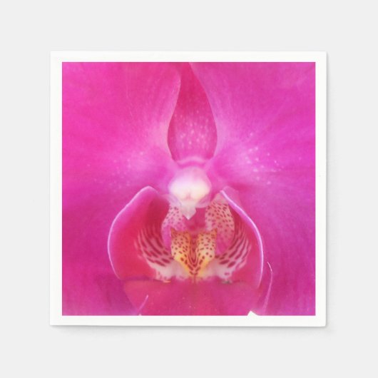 Guda Servet (Voorkant)