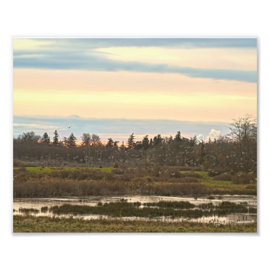 Guemes Island Valley, Guemes Island Foto Afdruk (Voorkant)