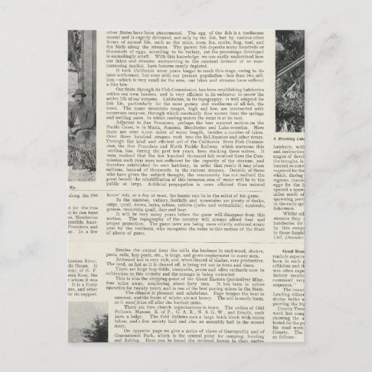 Guerneville, Californië Briefkaart (Voorkant)