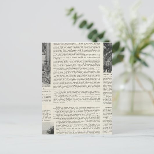 Guerneville, Californië Briefkaart (Staand voorkant)