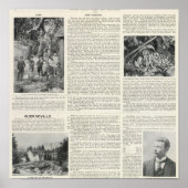 Guerneville, Californië Poster (Voorkant)