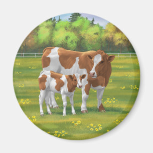 Guernsey Cow & Cute Calf in Summer Pasture Magneet