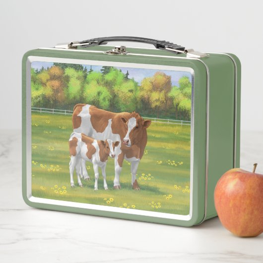 Guernsey Koe en Cute Calf in Summer Pasture (In situ)