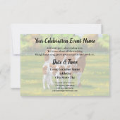 Guernsey Koe en Cute Calf in Summer Pasture Kaart (Achterkant)