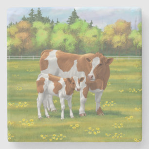 Guernsey Koe en Cute Calf in Summer Pasture Stenen Onderzetter
