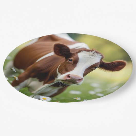 Guernsey Koe in Daisy Field Papieren Bordje (Gekanteld)