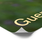 Guernsey Koe Poster (Hoek)