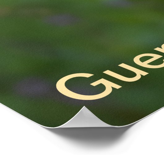 Guernsey Koe Poster (Hoek)