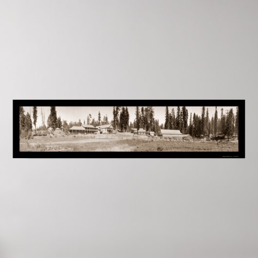 Guest Ranch Horse Fun Foto 1911 Poster (Voorkant)