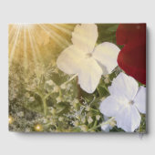 Guestbook, sjabloon, bruiloft, kleurrijke+ vaartui gastenboek (Achterkant)