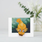 Guianan Cock-of-the-rock Briefkaart (Staand voorkant)