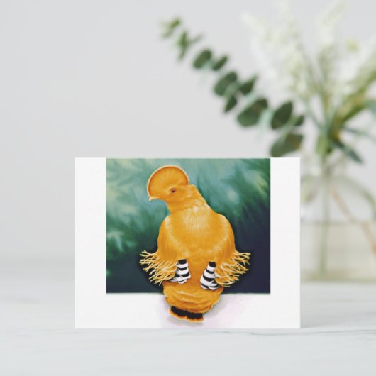 Guianan Cock-of-the-rock Briefkaart (Staand voorkant)