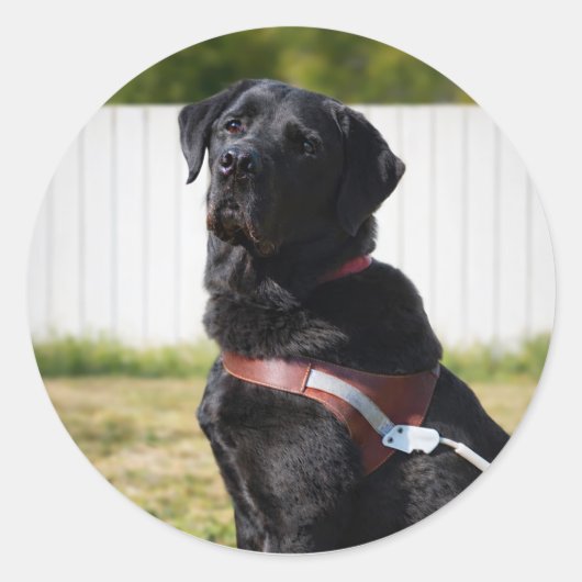 Guide Dog Envelope Seal – Black LabradorWisdom Ronde Sticker (Voorkant)
