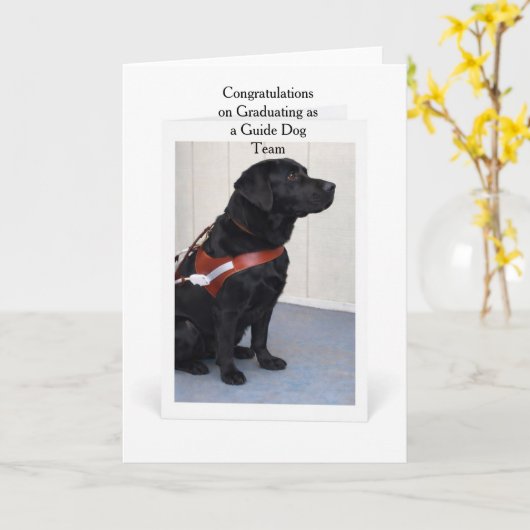 Guide Dog Graduation Congratulations Card Kaart (Gele Bloem)