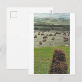 Guido en de Buffalo - Uitnodiging Briefkaart (Voorkant / Achterkant)