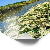 Guilford Marsh Photo Print Foto Afdruk (Hoek)