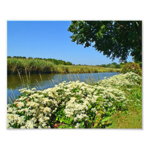 Guilford Marsh Photo Print Foto Afdruk
