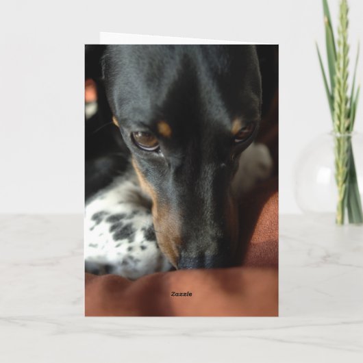 Guiliteit Kaart (Achterkant)