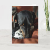 Guiliteit Kaart (Voorkant)