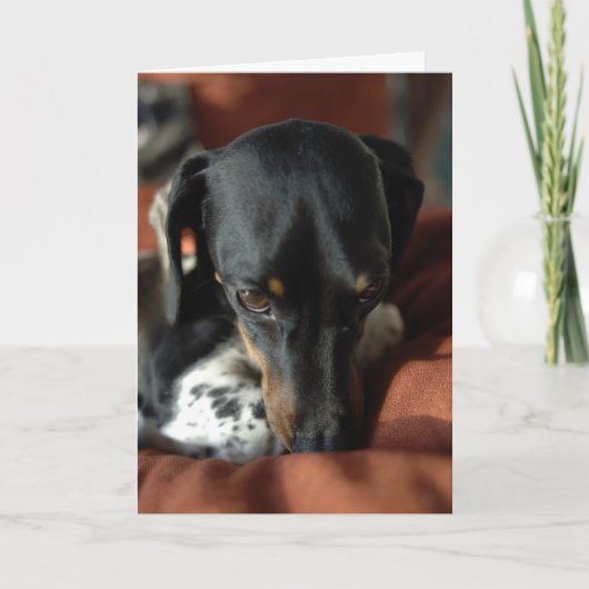 Guiliteit Kaart (Voorkant)