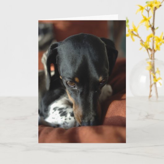 Guiliteit Kaart (Gele Bloem)