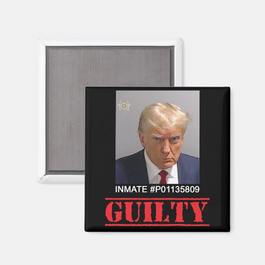 Guiliteit Magneet (Voorkant / Achterkant)