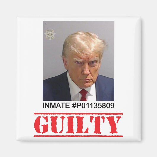 Guiliteit Magneet (Voorkant)