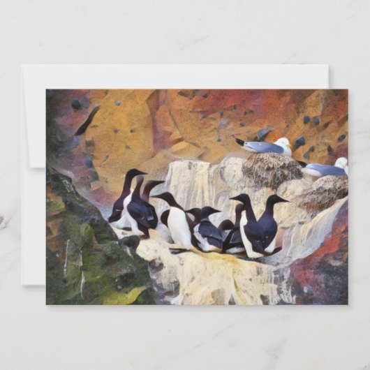 Guillemots Art Feestdagenkaart (Voorkant)