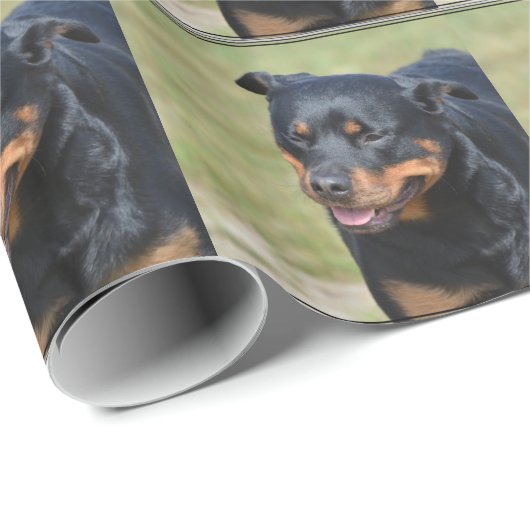 Guilless Rottweiler Cadeaupapier (Rol Hoek)