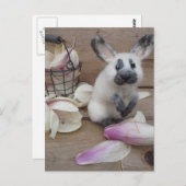 Guilty rabbit briefkaart (Voorkant / Achterkant)