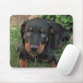 Guilty Rottweiler Puppy Muismat (Met muis)