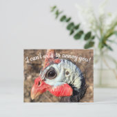 Guinea Fowl Post Card Briefkaart (Staand voorkant)