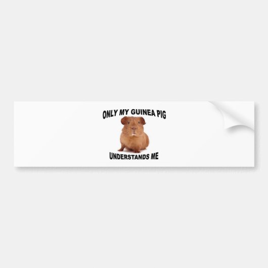 GUINEA.jpg Bumpersticker (Voorkant)