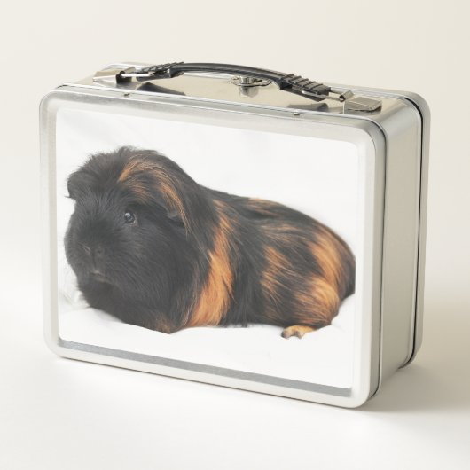 Guinea Pig (Achterkant)