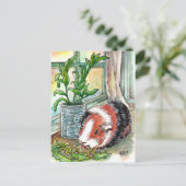 Guinea Pig by the Window Briefkaart (Staand voorkant)