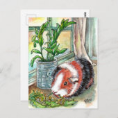 Guinea Pig by the Window Briefkaart (Voorkant / Achterkant)
