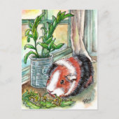 Guinea Pig by the Window Briefkaart (Voorkant)