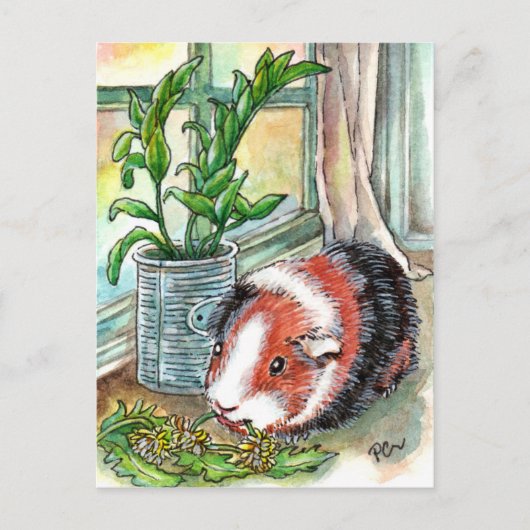Guinea Pig by the Window Briefkaart (Voorkant)