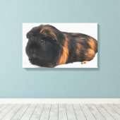 Guinea Pig Canvas Afdruk (Insitu (Houten vloer))
