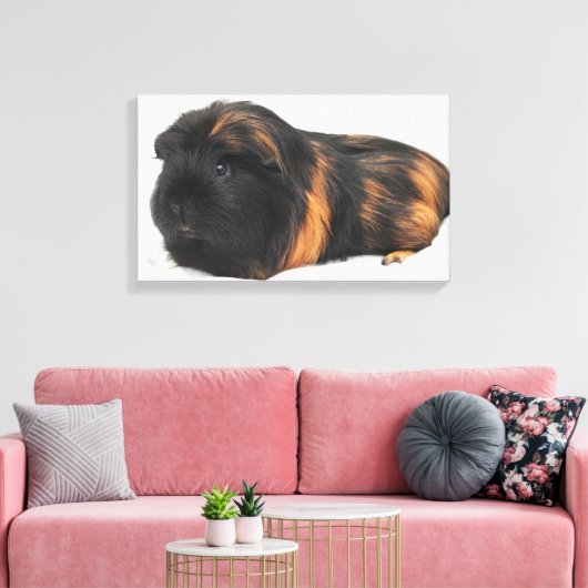 Guinea Pig Canvas Afdruk (Insitu (Woonkamer))
