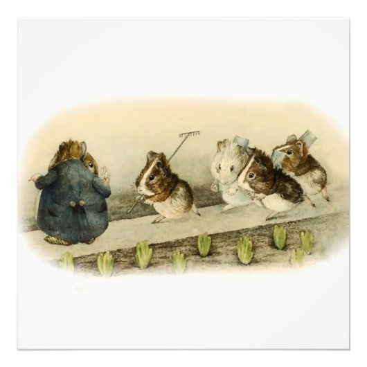 “Guinea Pig Garden” van Beatrix Potter Foto Afdruk (Voorkant)