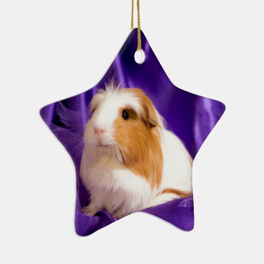 guinea pig keramisch ornament (Rechts)