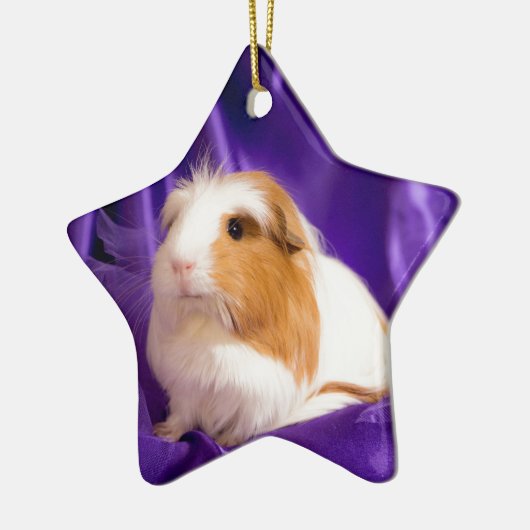guinea pig keramisch ornament (Links)