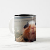 Guinea pig kiss mug tweekleurige koffiemok (Voorkant links)